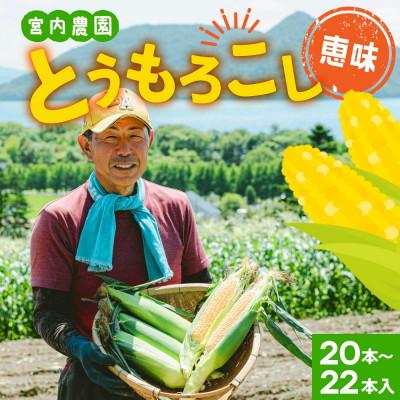 ふるさと納税 洞爺湖町 北海道産 朝採れ とうもろこし 恵味 めぐみ 2L 20〜22本 宮内農園 北海道 洞爺湖町