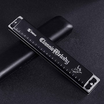 天鵝口琴初學者24孔復音C調學生成人入門演奏教具 樂器harmonica
