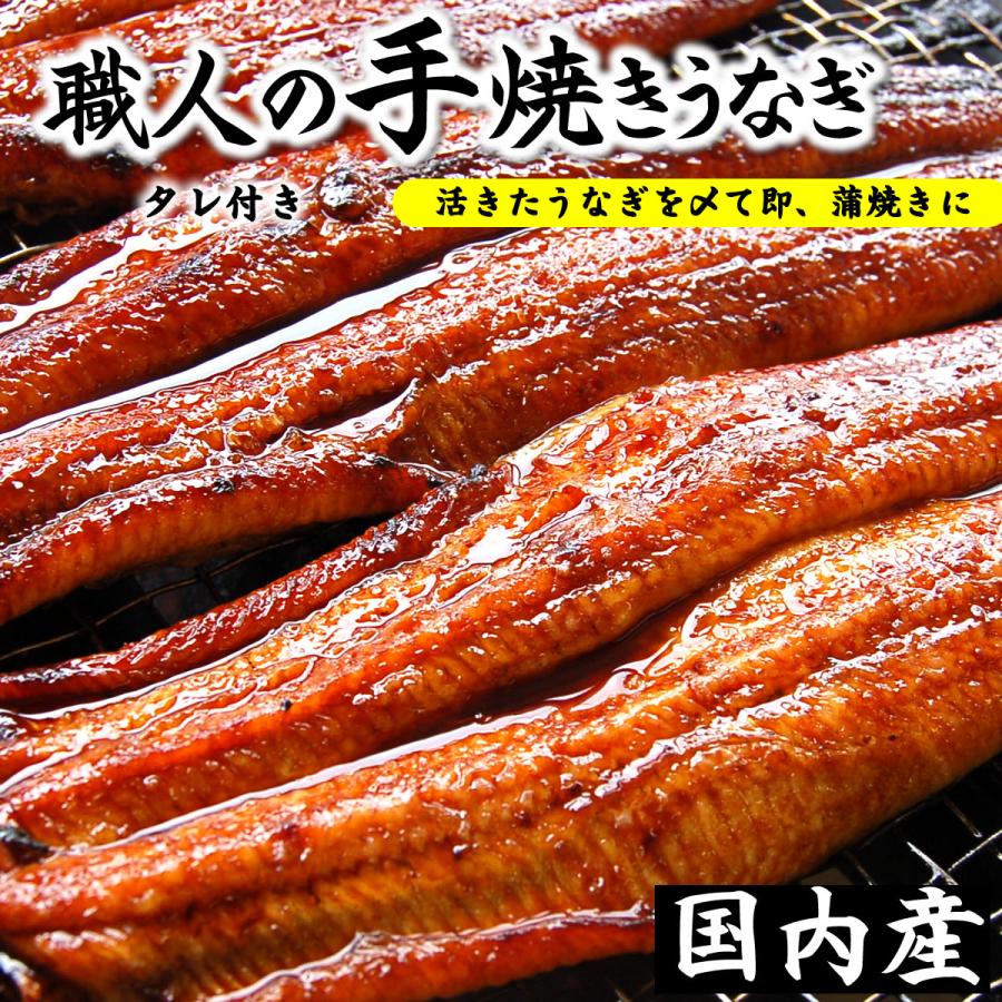 自家製　活〆うなぎ蒲焼き（冷凍）250g以上の特大　1尾　（国産）タレ付　国内産の活きたうなぎを捌きました