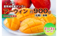 アーウィンマンゴー約900g（化粧）赤秀