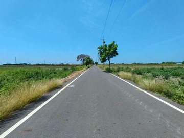 台南市新營區姑爺段530坪休閒農地｜台南市新營區姑爺
