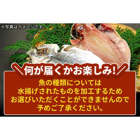 ふるさと納税 干物の玉手箱 5?6枚 秋田県由利本荘市