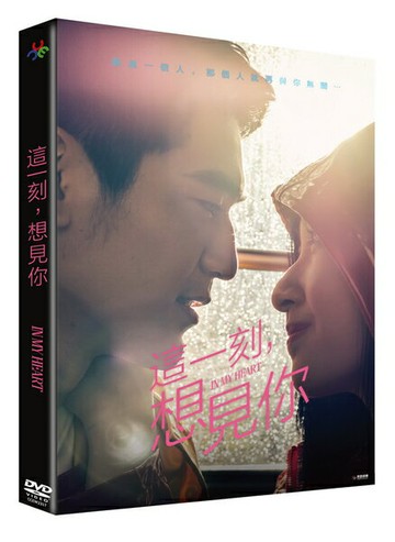 【停看聽音響唱片】【DVD】這一刻，想見你