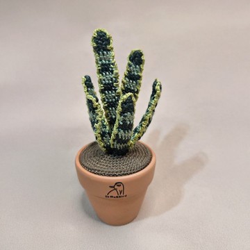 觀葉植物 虎尾蘭-手作編織植物