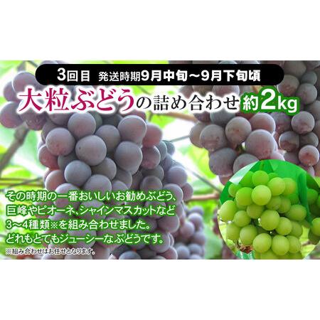 ふるさと納税 山形県鶴岡産 旬のお楽しみフルーツセット（果物）さくらんぼ・メロン・大粒ぶどうの詰合せ（計３.. 山形県鶴岡市