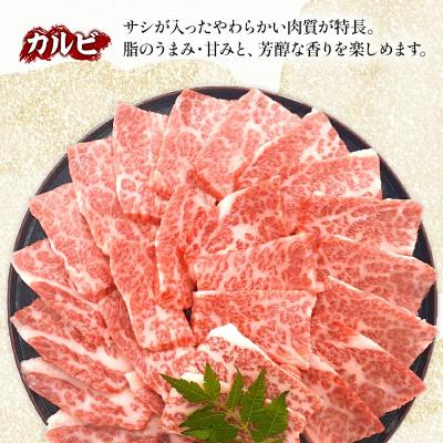 ふるさと納税 宮崎市 史上初内閣総理大臣賞4連覇* 宮崎牛 カルビ 焼肉・バーベキュー用 500g