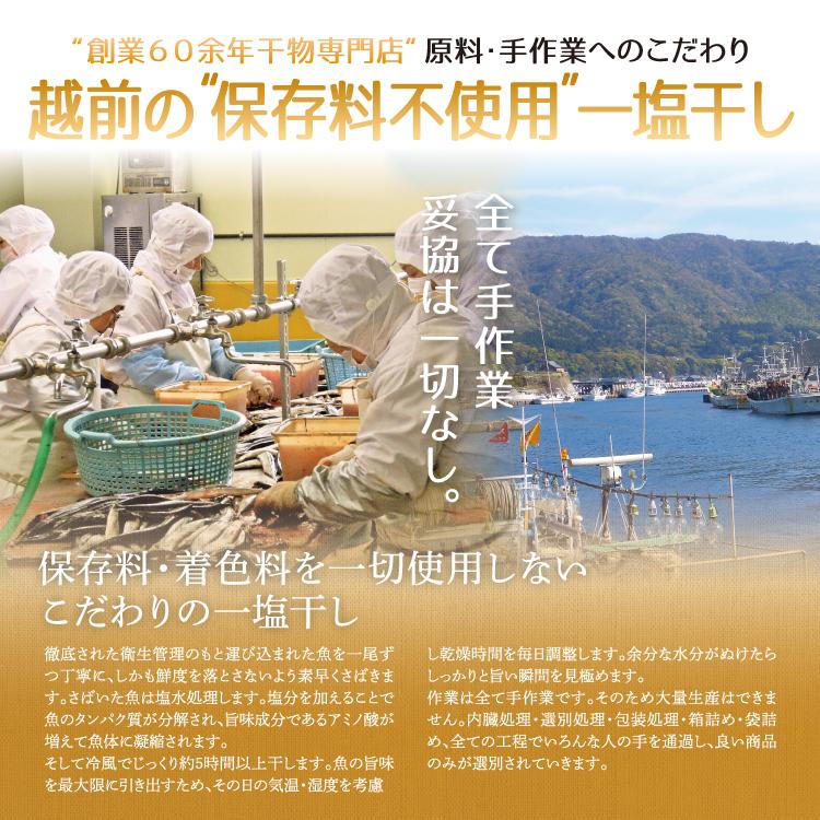 お歳暮 干物セット 訳あり4種類 合計1kg 以上 保存料不使用 冷凍便 送料無料