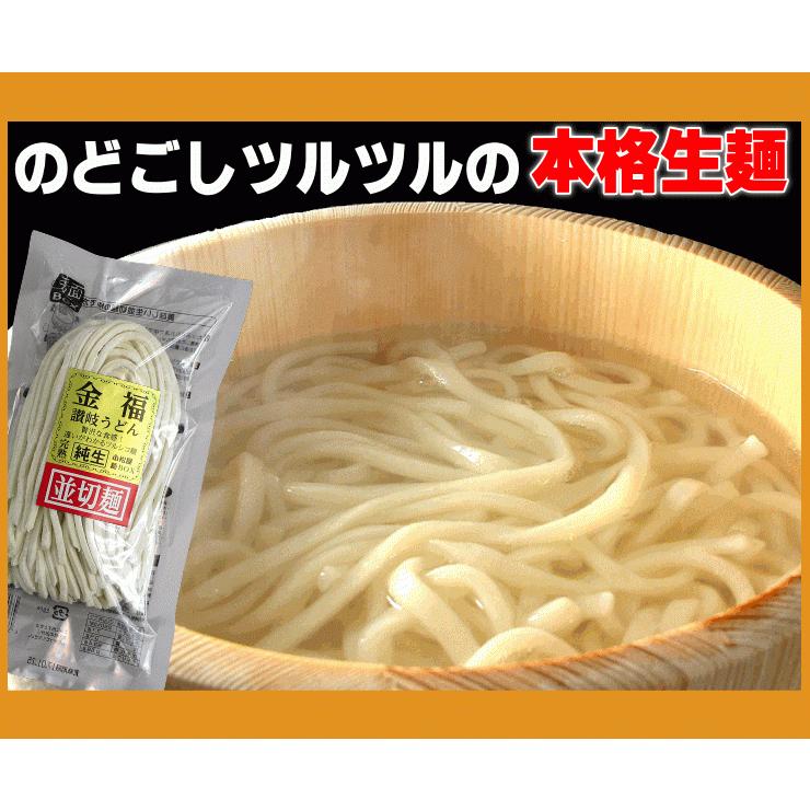 送料無料 うどん 激選スープカレーうどん20人前セット