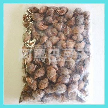 帶殼鳳螺 約2000g