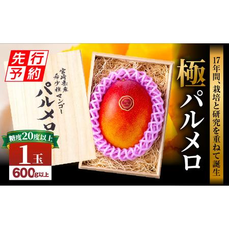 ふるさと納税 宮崎県産 希少種マンゴー (極)パルメロ 600g以上 糖度20度以上 1玉入り 2024年発送 期間限定 数量限定（マンゴー 宮崎マンゴー 完.. 宮崎県宮崎市