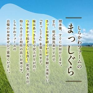 ふるさと納税 無洗米 10kg 青森県産 まっしぐら （精米）  青森県五所川原市