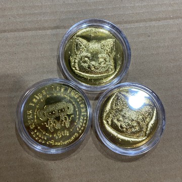 現貨 TTF 19屆 2022 金幣 Yoyo Yeung 聯名 金幣本人 金幣票 套組限定
