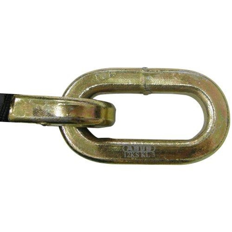 日本ロックサービス ABUS 片側先端ループ形状 屈強チェーン 12KSLOOPシリーズ 80cm チェーン径12mm 12KS/80 LOOP 通販  LINEポイント最大0.5%GET LINEショッピング