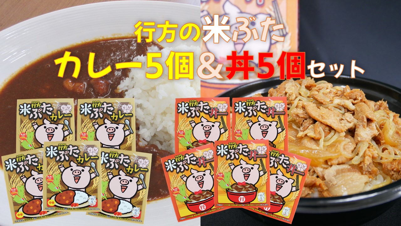 CU-6 米ぶた丼＆米ぶたカレー（中辛）各5個　10個セット