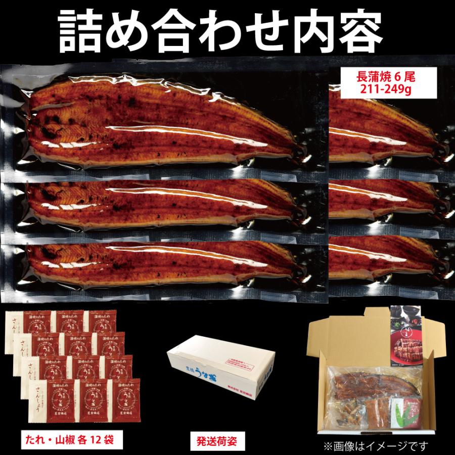 うなぎ 蒲焼き 国産 特々大211-249g×6尾 （約12人前） 送料無料 プレゼント 贈り物 お歳暮 ギフト