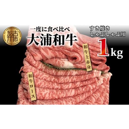 ふるさと納税 兵庫県 加古川市 大浦和牛すきやき・しゃぶセット(1kg)