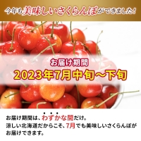 先行受付 2024年7月から出荷 北海道 仁木町産 サクランボ 紅秀峰 1.2kg 厳選品  松山商店