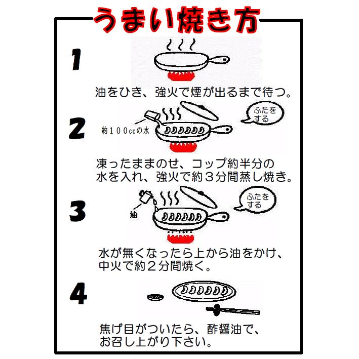 冷凍餃子 取り寄せ 手作り 48個入 肉餃子12個×4 セット 熟成ニンニク お取り寄せ 食品 ギフト 人気 通販 高級 中華料理 業務用 焼き餃子 お歳暮2023