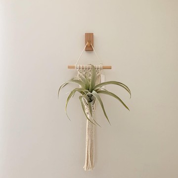 Macrame 小物 盆栽 空鳳 原木掛飾 編織 吊飾