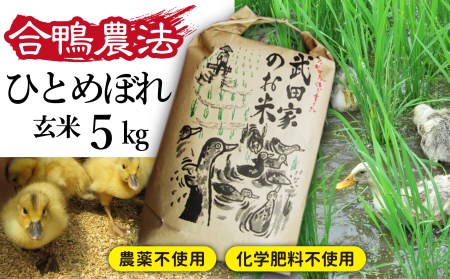 《令和５年度産》武田家のお米 ひとめぼれ（玄米）５kg＜合鴨農法＞   米 げんまい ５キロ アイガモ