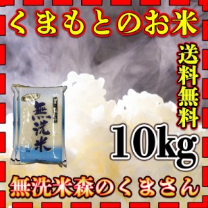 お米 米 10kg 白米 送料無料 無洗米 熊本県産 森のくまさん あす着 新米 令和5年産 5kg2個 くまもとのお米 富田商店 とみた商店