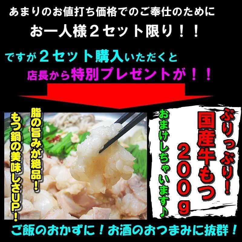 送料無料 専門店秘伝の味 牛もつ鍋お試しセット 2〜3人前 お一人様３セット限り