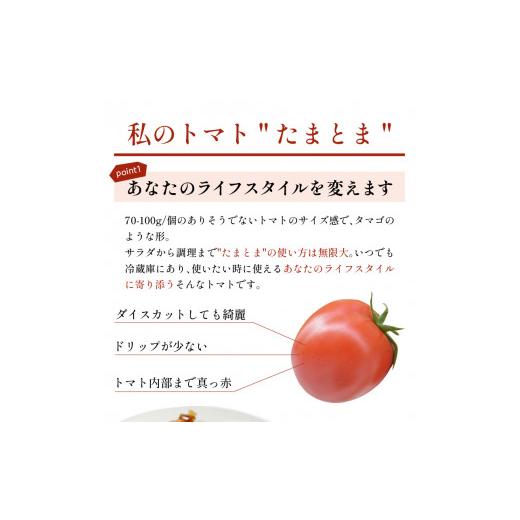 ふるさと納税 兵庫県 加古川市 たまとま＋カラーミニトマト(約8kg)《 野菜 トマト ミニトマト カラートマト 期間限定 送料無料 おすすめ 美味しい セッ…