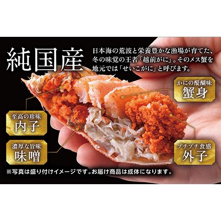 ふるさと納税 越前がに（メス）「せいこがに」 特大サイズ 220g前後 × 10杯 福井県越前市