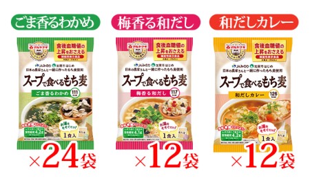 スープで食べるもち麦48袋セット