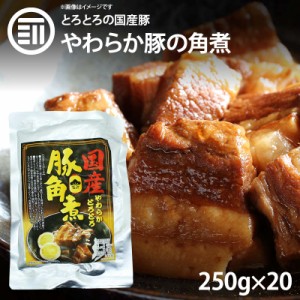 [前田家]  やわらかとろとろ 豚角煮 5kg (250gx20袋) 国産豚 豚の角煮 煮豚 煮込み料理 レトルト 惣菜 煮物 おかず 常温 食品 おつまみ