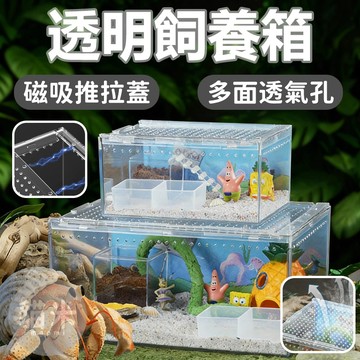 台灣出貨🐱‍透明飼養箱 透明生態缸 亞克力透明生態缸 造景生態缸 寄居蟹飼養箱 亞克力爬寵飼養箱 PP塑料 磁吸推拉蓋