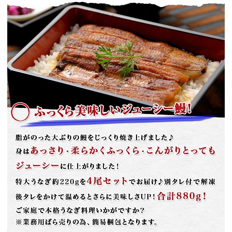 うなぎ 鰻 タレ付き 焼きウナギ 約880g (220g×4尾) 4本 特大 かば焼き 蒲焼き 中国産 冷凍便 ギフト お取り寄せ