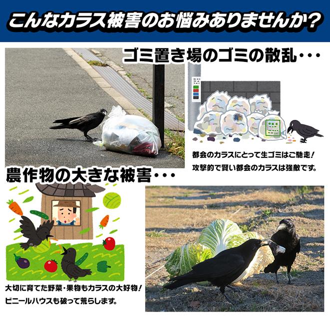 超音波などで害鳥 害獣撃退 乾電池でも使用可 防水 野良猫イタチ鳩カラス鹿 猪ハクビシン鼠コウモリ駆除 アニマルリペラー標準タイプST628