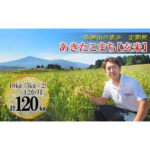 ふるさと納税 秋田県 にかほ市 10kg×12ヶ月 鳥海山の恵み 農家直送！ あきたこまち（玄米・5kg×2袋）