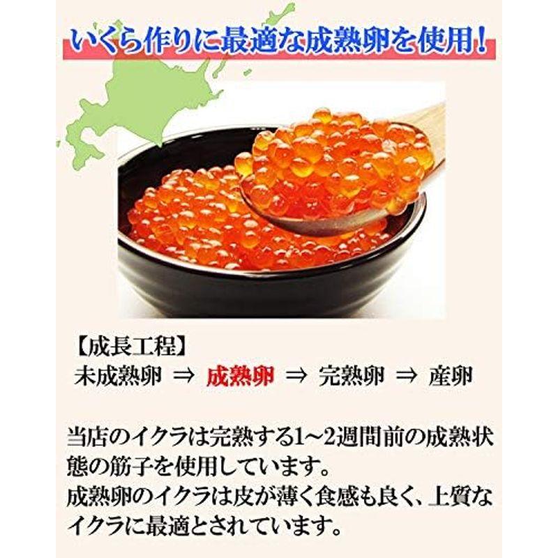 ますよね いくら醤油漬け 500g 約5人前 上質 北海道産 鮭卵 イクラ 国産 冷凍