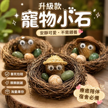 廢物專賣店 升級款寵物小石 養死包賠 網紅養石頭 安靜可愛不需餵養 宿舍療癒擺飾 生日禮物 交換禮物 交換廢物 上課無聊