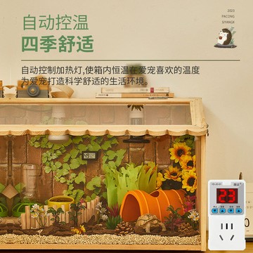 爬寵箱 寵物箱 飼養箱 龜爬箱 爬寵刺猬飼養箱鬃獅蜥變色龍角蛙守宮蜥蜴造景恒溫箱蛇爬蟲保溫箱