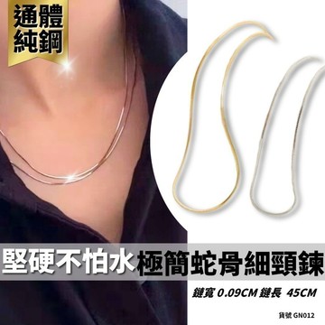 歐美項鍊 頸鏈 短項鍊 細項鍊 鈦鋼 不褪色 極簡 蛇骨 細頸鍊 可碰水 現貨 2色 簡約 韓系 無吊墜 GN012