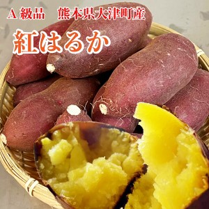  熊本県大津産 最高等級 A品 送料無料 ５キロ サイズ選べます べにはるか 蜜 焼き芋 芋スイーツ しっとり ふっく