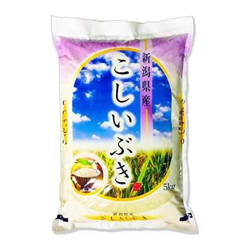 令和5年 新潟産こしいぶき白米 10kg(5kg×2袋)