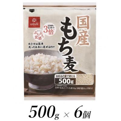 ふるさと納税 南アルプス市 はくばくの国産もち麦　500g×6個