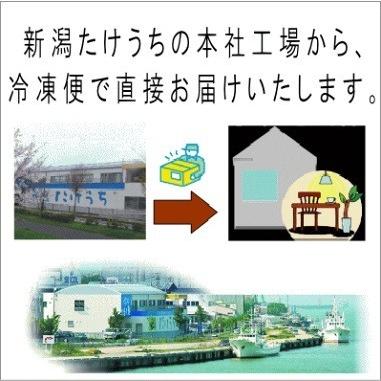 本造り鮭中塩（1０切) 鮭 寒風干し 北海道産秋鮭を新潟で寒風干し伝統製法の 鮭 切り身 鮭 冷凍 秋鮭 塩引き鮭 高級 鮭