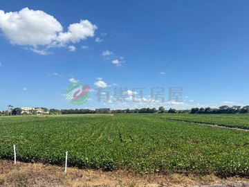 近清華高中｜大面寬29米・前後臨路方正農地｜桃園市新屋區石磊子