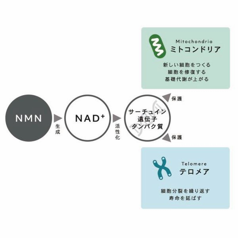 定番の冬ギフト QUON クオン AG フェイスマスク 100ml入り 4枚入り