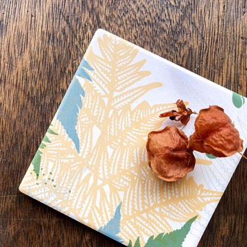 蕨色陶瓷杯墊-臺灣金狗毛蕨|吸水 隔熱 送禮 情人 婚禮 新春 年節