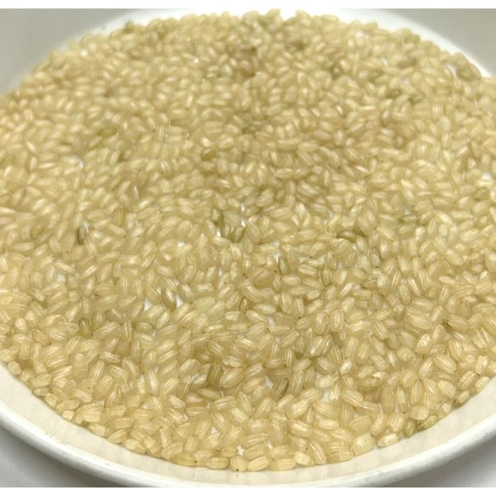 発芽玄米 岡山県産 朝日 (900g×5袋) 令和4年産 送料無料