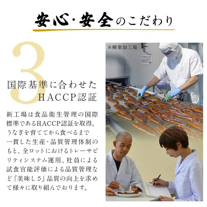 国産うなぎ蒲焼　切身20枚（10~20人前）ギフト 敬老の日 お歳暮