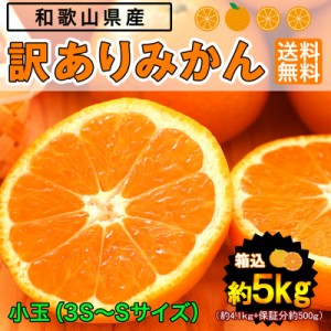 みかん 小玉（3S～Sサイズ）5kg（箱込約5kg）和歌山県産 訳あり・ご家庭用 送料無料（東北・北海道・沖縄県除く）（配達日指定不可）