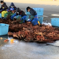 網走特産