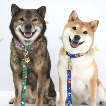 PEANUTS 史努比繽紛主題牽繩